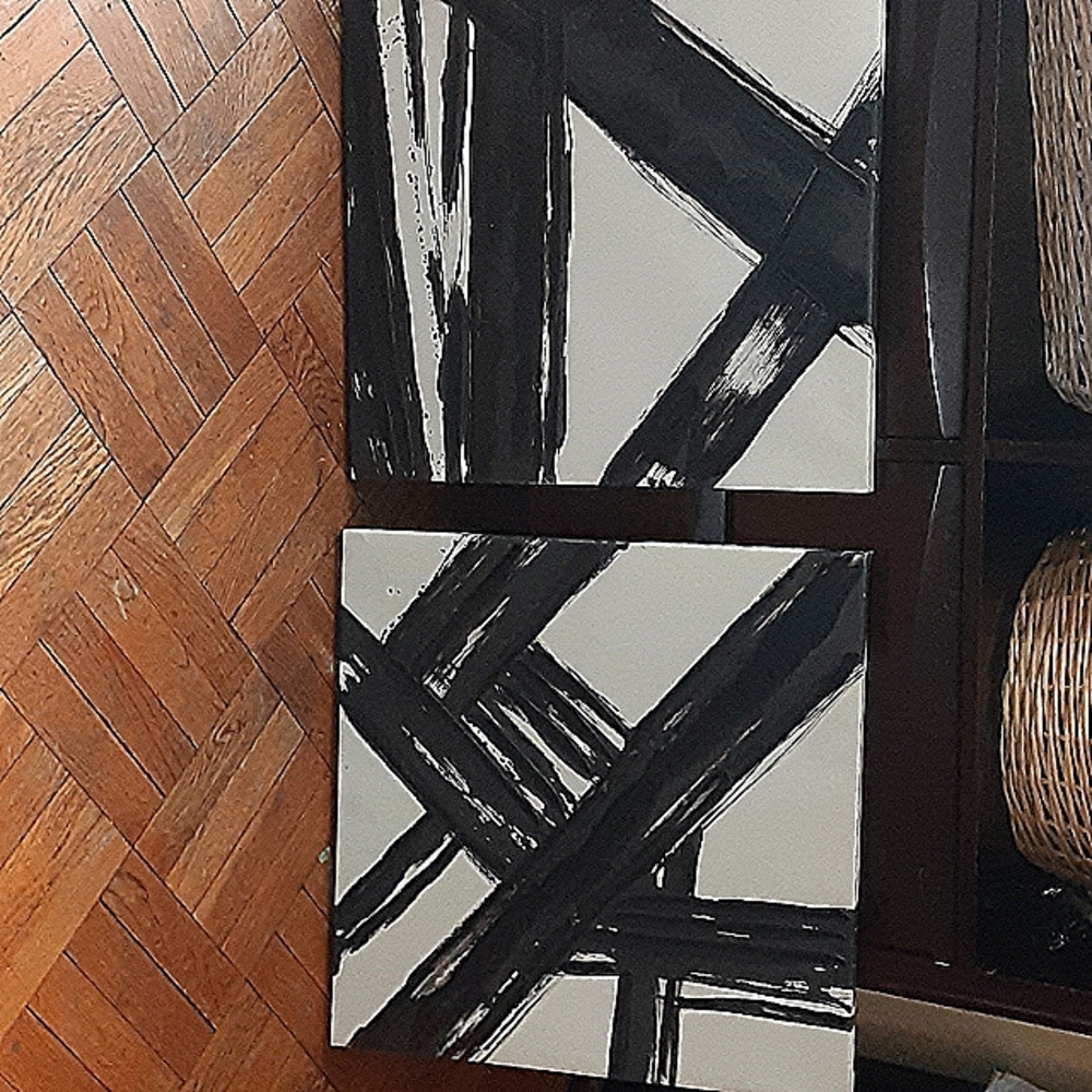 2 pic  22x22 black and white frame art work
